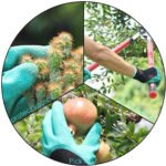 ⁦Gants de jardinage avec griffes - قفازات البستنة مع مخالب⁩ - الصورة ⁦7⁩