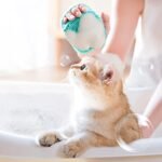 ⁦Brosse de Nettoyage et Distributeur De Shampoing en Silicone - فرشاة الحمام من السيليكون⁩ - الصورة ⁦4⁩