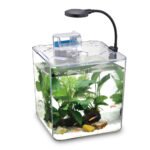 ⁦Kit mini aquarium nanbor avec système de filtrage et lampe led - حوض أسماك مع مصباح⁩ - الصورة ⁦2⁩