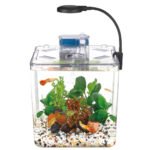 ⁦Kit mini aquarium nanbor avec système de filtrage et lampe led - حوض أسماك مع مصباح⁩ - الصورة ⁦5⁩