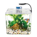Kit mini aquarium nanbor avec système de filtrage et lampe led - حوض أسماك مع مصباح