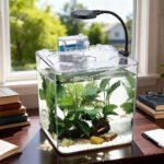 ⁦Kit mini aquarium nanbor avec système de filtrage et lampe led - حوض أسماك مع مصباح⁩ - الصورة ⁦4⁩