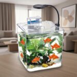 ⁦Kit mini aquarium nanbor avec système de filtrage et lampe led - حوض أسماك مع مصباح⁩ - الصورة ⁦3⁩