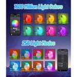 ⁦Lampe de Table avec Haut-parleur Bluetooth RGB  - مكبر صوت ومنبه على شكل محارة⁩ - الصورة ⁦3⁩