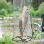 ⁦Filet de Pêche Pliable en Maille Facile à Ranger - شبكة صيد الأسماك⁩ - الصورة ⁦2⁩