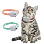 ⁦Collier Laser LED un Jouet Interactif pour Chat – سوار ليزر للقطط⁩ - الصورة ⁦6⁩
