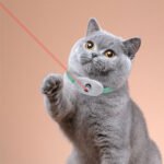 ⁦Collier Laser LED un Jouet Interactif pour Chat – سوار ليزر للقطط⁩ - الصورة ⁦3⁩