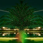 ⁦Projecteur Laser Décoratif Extérieur et Intérieur Éclairage Festif - جهاز عرض ليزر ديكور منزلي وللحدائق للاحتفالات⁩ - الصورة ⁦7⁩